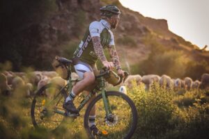Man on bicycle looking at a herd of sheep